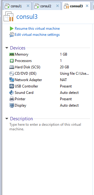 consul6.PNG